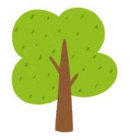 icône de l'arbre vert. png