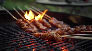 Placing Raw Chiken Skewers on a Hot Grill video