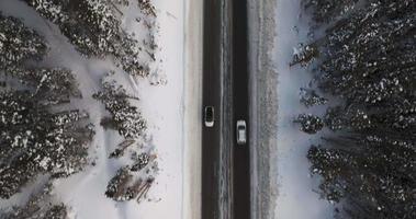 bilar körning ner väg i colorado bergen video