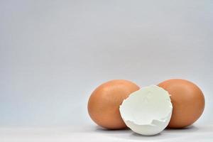 dos huevos de pollo marrones y conchas blancas sobre un fondo gris foto