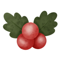 ícone de azevinho de Natal em aquarela. png