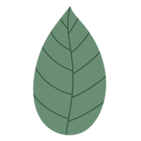 Leaf element icon. png