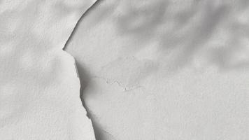 Concrete wall texture with Leaves Shadow or Overlay on Crack white colour paint,Horizon Cement floor with rough concrete surface,Backdrop background Exterior wall with peeling paint on old building photo