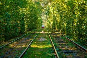 Tram and tram rails in colorful forest photo