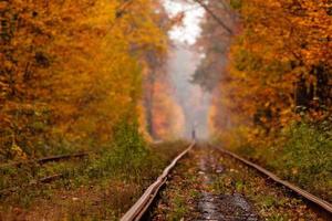 autumn forest among which goes a strange tram photo