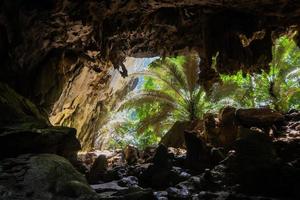 paisaje de cueva y árbol hup pa tat, uthai thani, tailandia foto