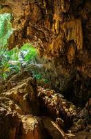 paisaje de cueva y árbol hup pa tat, uthai thani, tailandia foto