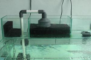 acuario doméstico tanque de vidrio bomba tubería foto aislada en plantilla rectangular