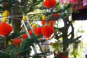 Red lanterns decorate the Chinese New Year tree photo