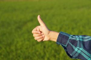 Asian female farmer hand, green rice field background photo