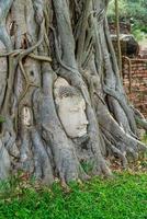 Buddha Head statue with trapped in Bodhi Tree roots at Wat Mahathat photo