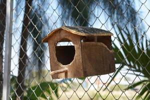 casa de loros en el parque foto