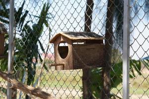 casa de loros en el parque foto