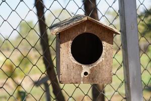 Parrot's house in the park photo