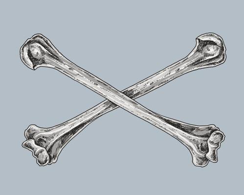 Skull and Crossbones Drawing Illustration