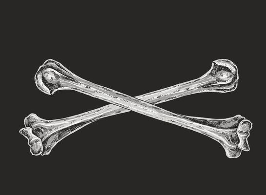 Skull and Crossbones Drawing Illustration