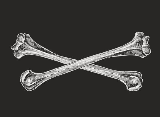 Skull and Crossbones Drawing Illustration