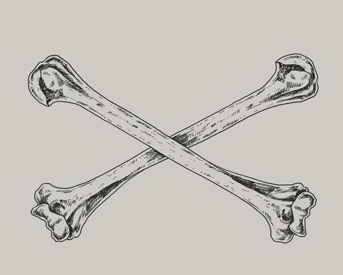 Skull and Crossbones Drawing Illustration