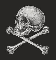 Skull and Crossbones Drawing Illustration vector