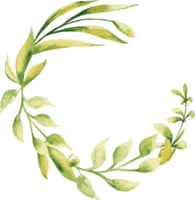 hojas salvaje planta tropical clipart png