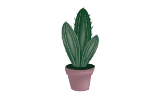 cactus piatto png illustrazione