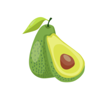 illustrazione piatta di avocado png