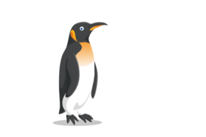 hermosa ilustración plana de pingüino png