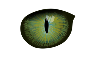 ilustración plana de ojo de reptil de fantasía png