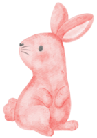 ilustración de dibujo a mano de dibujos animados de conejito rosa acuarela linda png