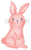 illustration de dessin à la main de dessin animé mignon lapin rose aquarelle png