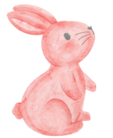 cute watercolour pink bunny rabbit cartoon hand drawing illustration png