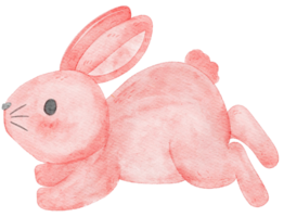 illustration de dessin à la main de dessin animé mignon lapin rose aquarelle png