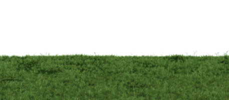 Grass on transparent background. Meadow, lawn as foreground. Lower frame, border. Cut out graphic design element. 3D rendering. png