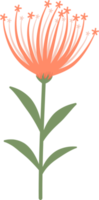 vårblomma element png