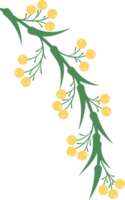 vårblomma element png