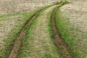 Country road in a field in early spring. Young green grass. photo