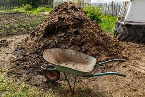 An empty wheelbarrow is standing next to a manure heap. photo