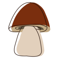 Porcini mushroom in outline. Edible Organic mushrooms. Truffle brown cap. Forest wild mushrooms types. Colorful PNG illustration.