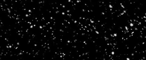 Falling snow isolated on black background. Falling snow at night. Bokeh lights on black background, flying snowflakes in the air. Winter weather. Overlay texture. photo