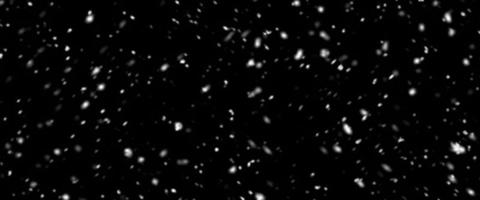 Falling snow isolated on black background. Falling snow at night. Bokeh lights on black background, flying snowflakes in the air. Winter weather. Overlay texture. photo