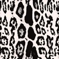 Seamless hand draw leopard pattern, leopard texture. photo