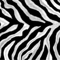 Zebra skin, tiger fur, animal print. photo