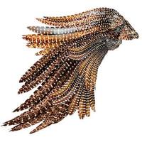 Animal texture feather. photo
