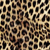 Seamless leopard pattern, leopard skin, animal print. photo