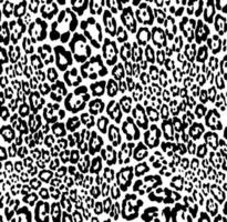 Seamless leopard pattern, leopard skin, animal print. photo