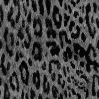 Seamless leopard pattern, leopard skin, animal print. photo