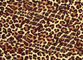 patrón de leopardo sin fisuras, piel de leopardo, huella animal. foto