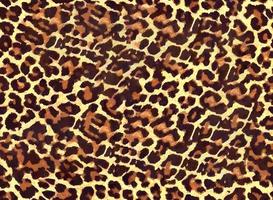 Seamless leopard pattern, leopard skin, animal print. photo