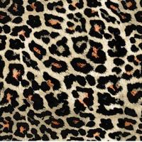 Seamless leopard pattern, leopard skin, animal print. photo