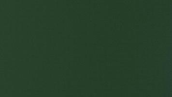 Textile texture green for background or cover photo